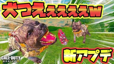 Codモバイル バトロワ 新アプデ来たぁぁぁｗ クラス ピエロの犬がクソ強すぎワロタｗ 高ティア ﾟ ﾟ ｷﾀｺﾚ Solo Vs Squads Codm Br Codモバイル動画まとめ